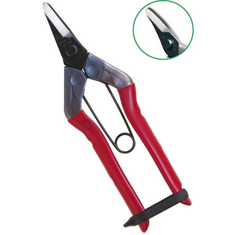 近正 103231 S-200 採果鋏 曲刃 BP 1個（ご注文単位1個）【直送品】