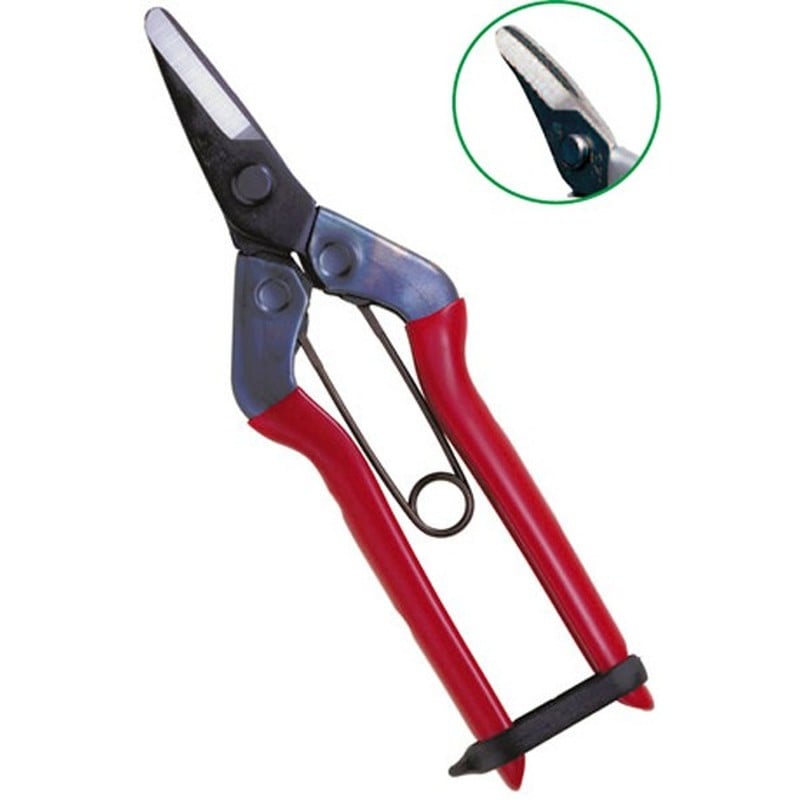 近正 103235 S-600 採果鋏 大型曲刃 BP 1個(ご注文単位1個)【直送品】