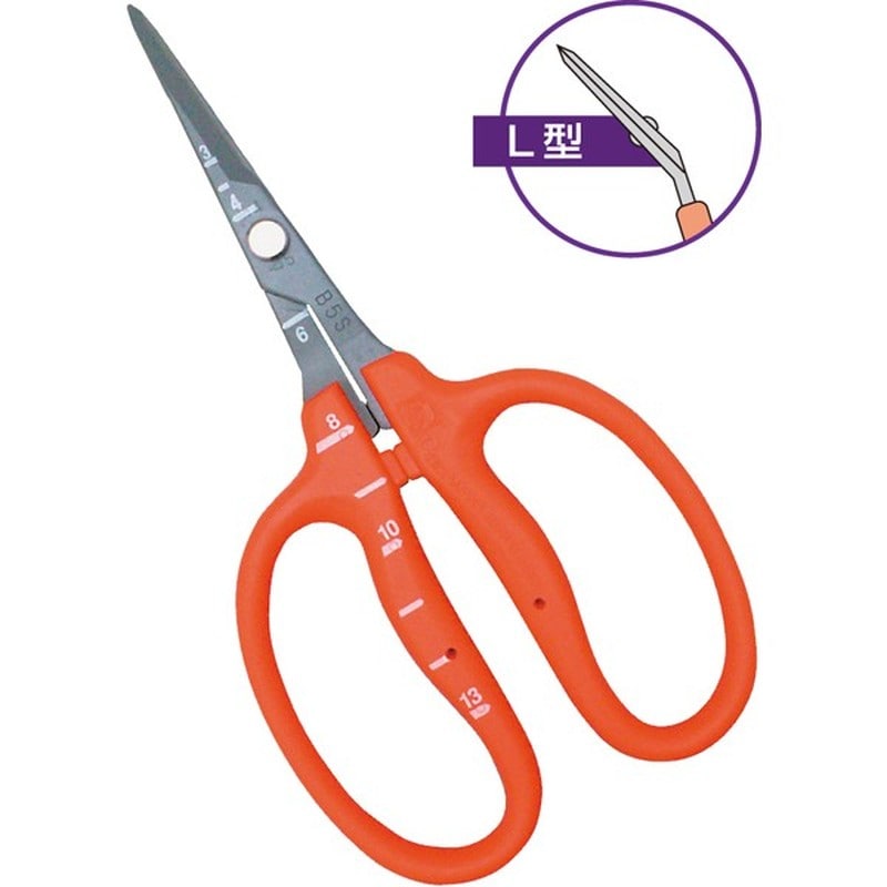 近正 103255 B-500SLF ステンフッ素ぶどう鋏L型 BP 1個（ご注文単位1個）【直送品】