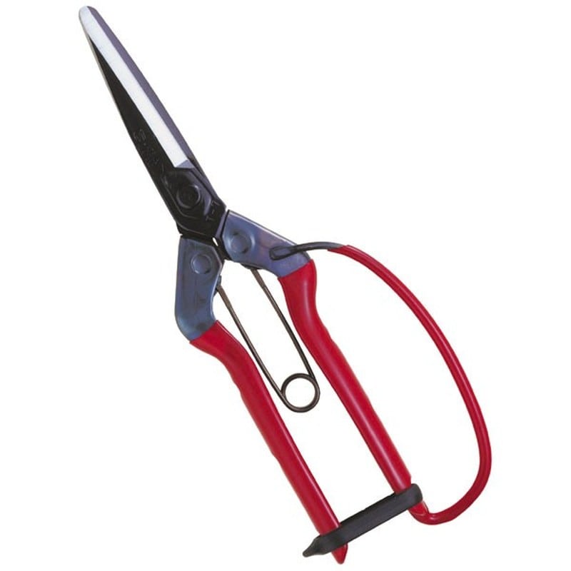 近正 103048 T-700G青果鋏先丸長刃ガード付袋入 1個（ご注文単位1個）【直送品】