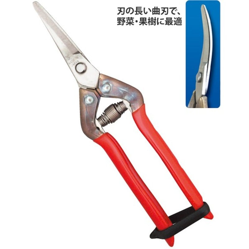 近正 103280 近正 T-55SR オールステンレス収穫鋏 BP 1個（ご注文単位1個）【直送品】