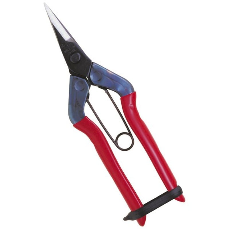 近正 103050 T-501 摘果鋏 尖直刃 箱入 1個（ご注文単位1個）【直送品】