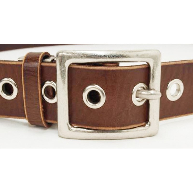 三共コーポレーション 4071435 本体+ハトメ玉 約5.7mm SL 20組入 #606903 1個(ご注文単位1個)【直送品】