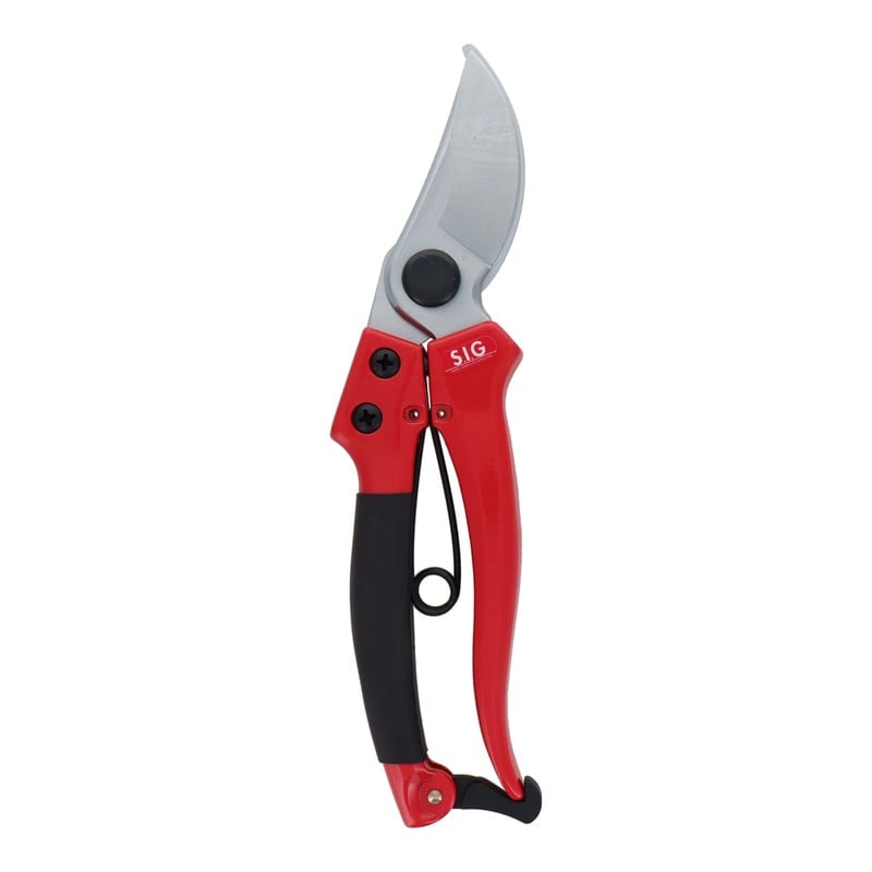 三共コーポレーション 4344266 手になじんで疲れにくい 剪定はさみ 200mm #108126 1個（ご注文単位1個）【直送品】