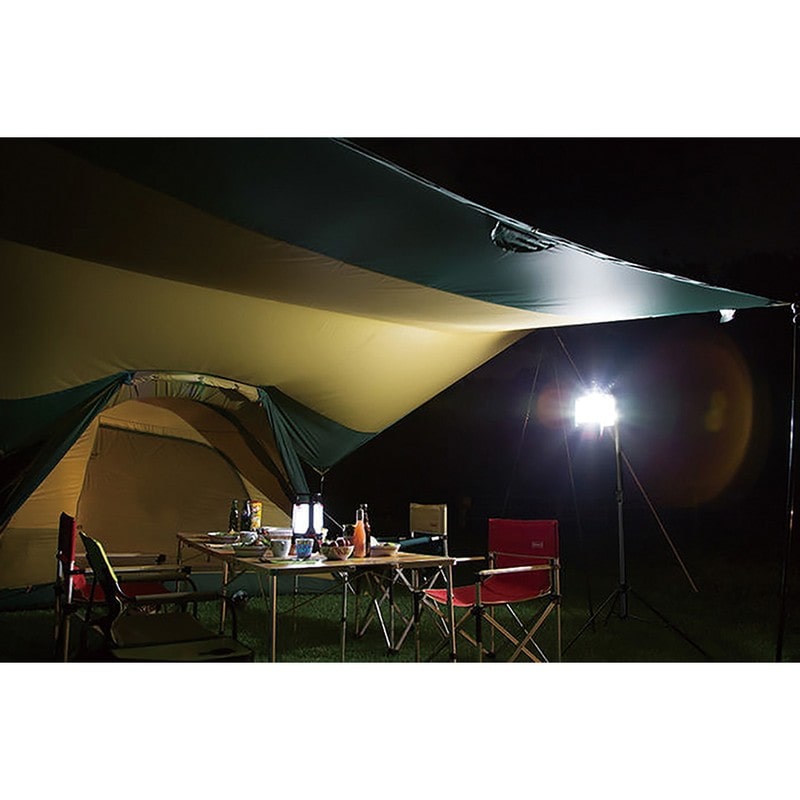 三共コーポレーション 4354079 LED薄型投光器 30W #333509 1個（ご注文単位1個）【直送品】