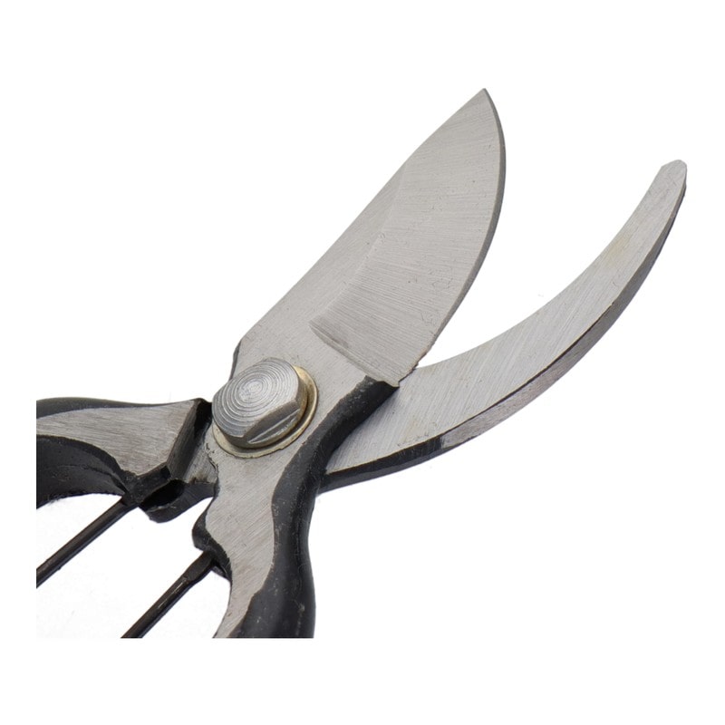 三共コーポレーション 4344262 お買い得 剪定鋏 #331001 1個（ご注文単位1個）【直送品】