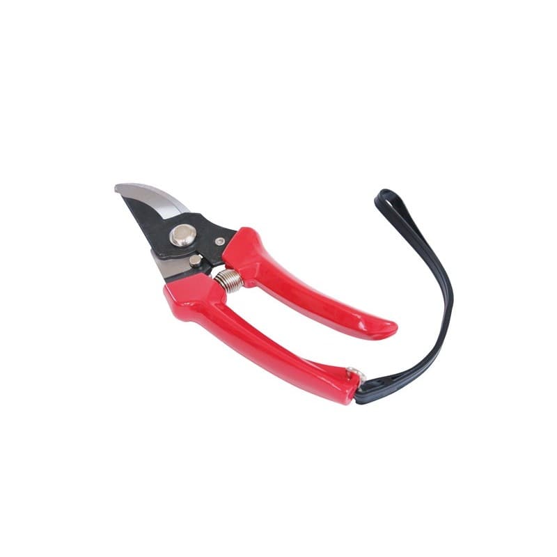 浅香工業 109233 剪定用 菜園鋏 FG-S100R #190068 1個（ご注文単位1個）【直送品】