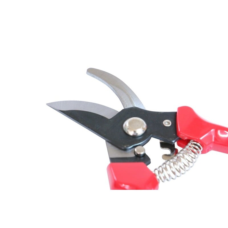 浅香工業 109233 剪定用 菜園鋏 FG-S100R #190068 1個（ご注文単位1個）【直送品】