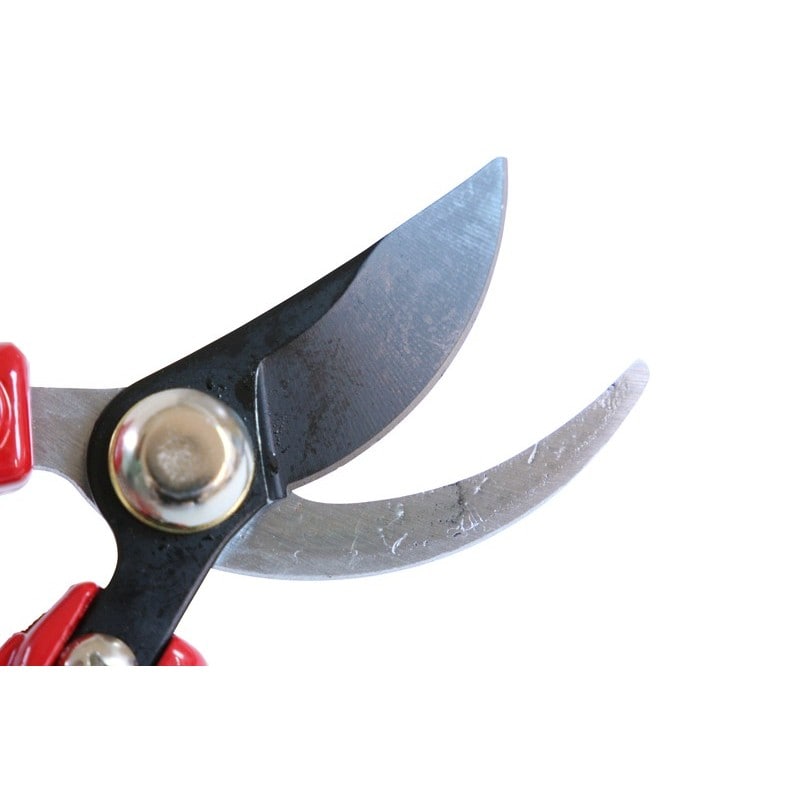 浅香工業 109235 コンパクト菜園鋏 小枝剪定用 #192192 1個（ご注文単位1個）【直送品】