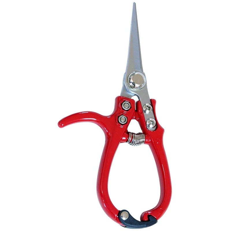 浅香工業 109236 コンパクト菜園鋏 芽切・収穫用 #192208 1個（ご注文単位1個）【直送品】