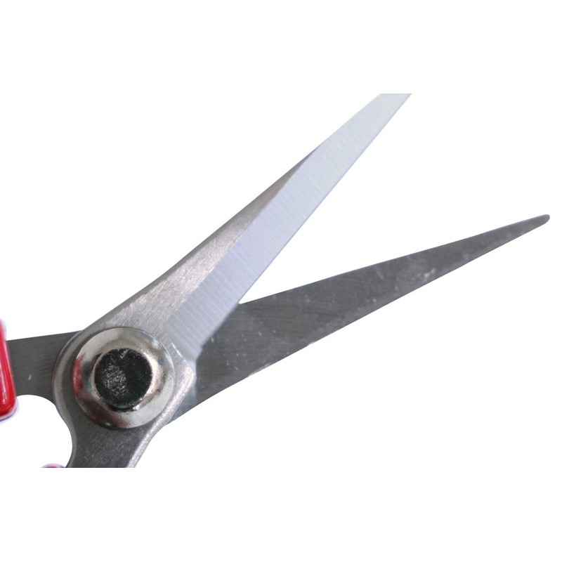 浅香工業 109236 コンパクト菜園鋏 芽切・収穫用 #192208 1個（ご注文単位1個）【直送品】