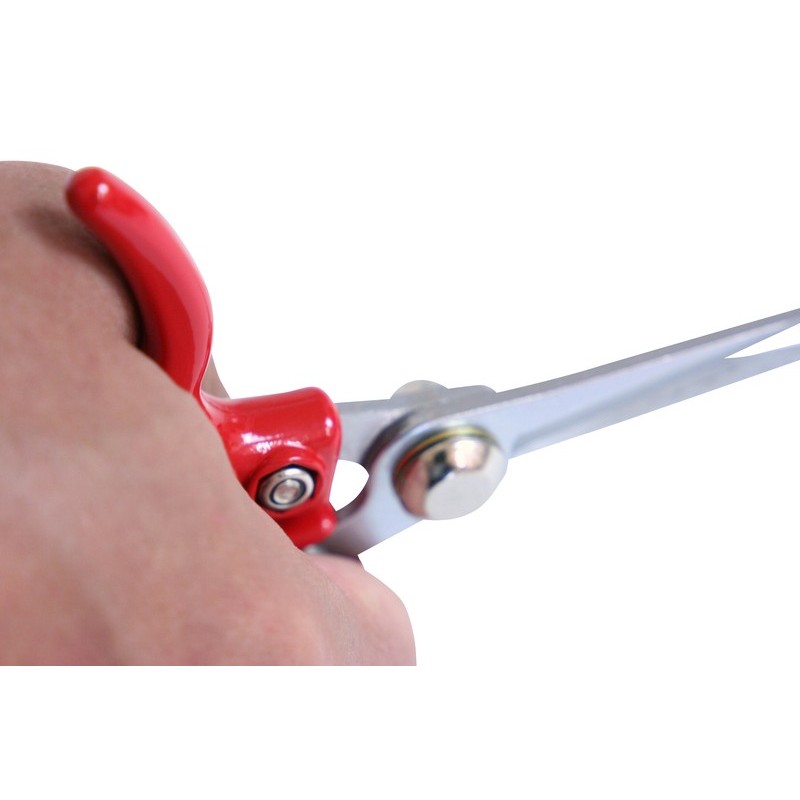 浅香工業 109236 コンパクト菜園鋏 芽切・収穫用 #192208 1個（ご注文単位1個）【直送品】