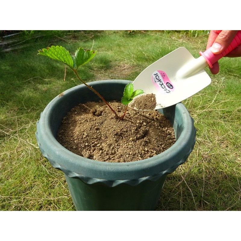 浅香工業 302297 ハンドスコップ プラ柄 #191104 1個（ご注文単位1個）【直送品】