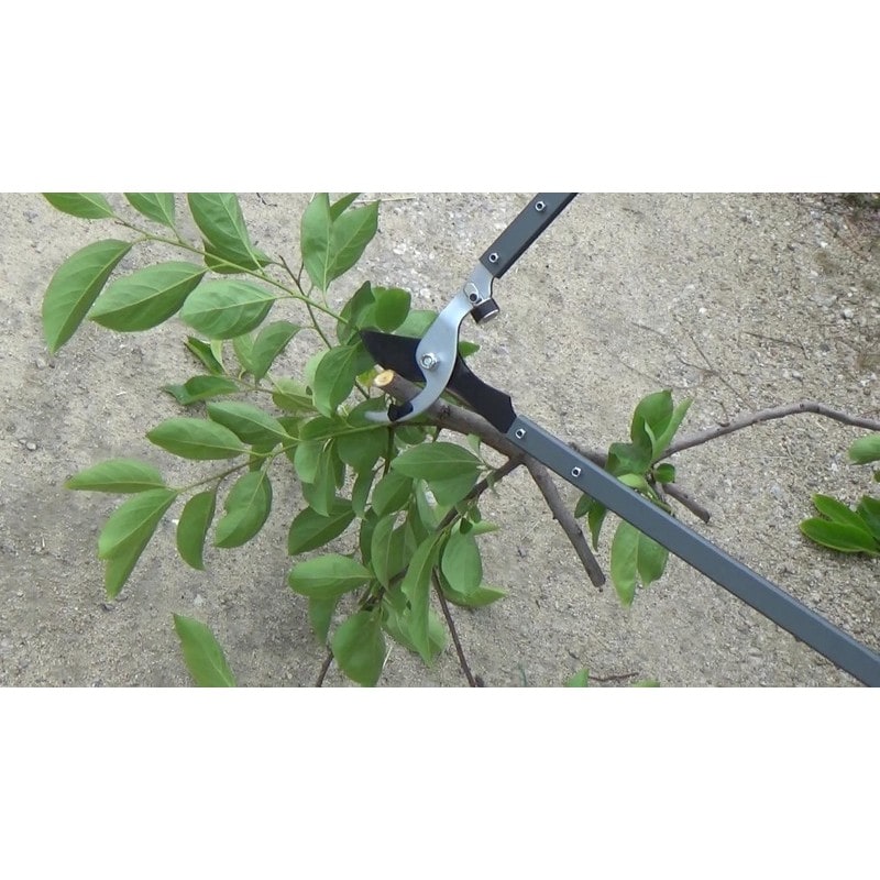 浅香工業 109245 FG 強力太枝切鋏 S621-RG #192451 1個（ご注文単位1個）【直送品】