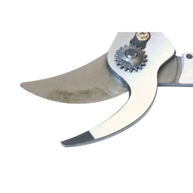 浅香工業 108066 太枝切鋏 L-60 #190842 1個(ご注文単位1個)【直送品】