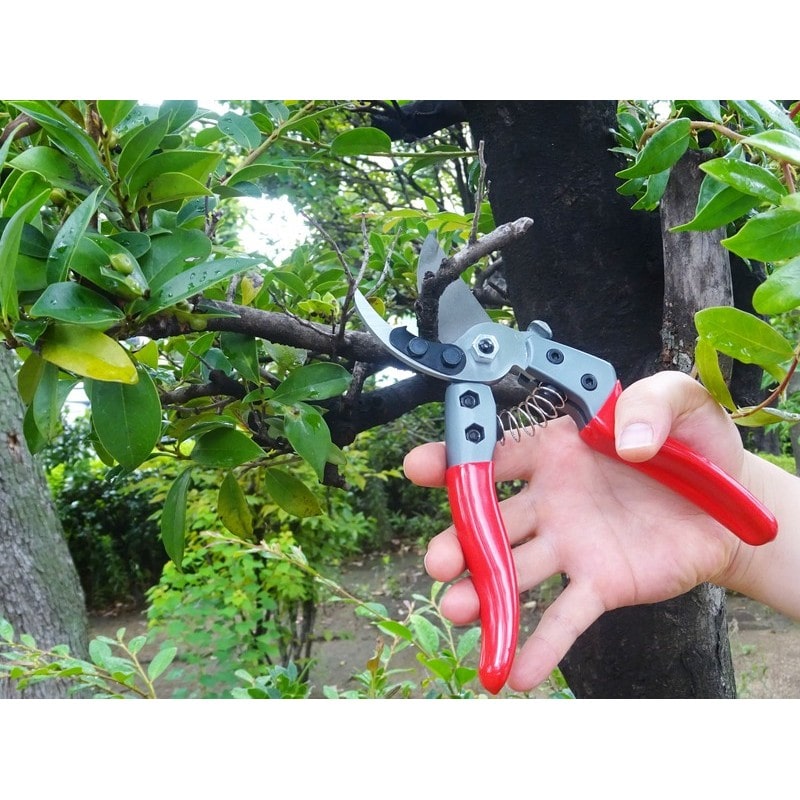 浅香工業 109232 FG 強力剪定鋏 8インチ #192437 1個（ご注文単位1個）【直送品】