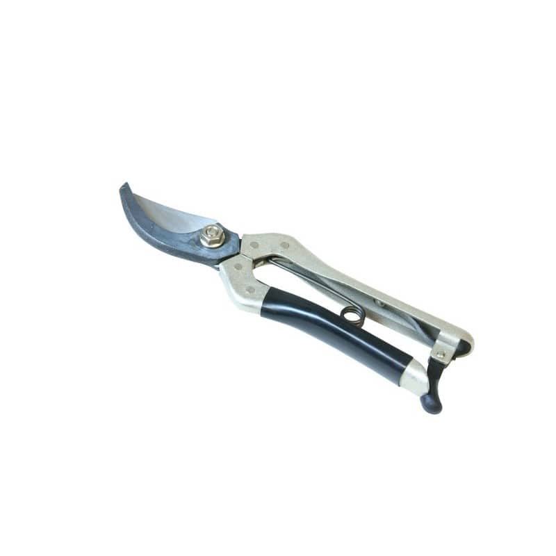 浅香工業 109202 A型剪定鋏 鋼付 #192008 1個（ご注文単位1個）【直送品】