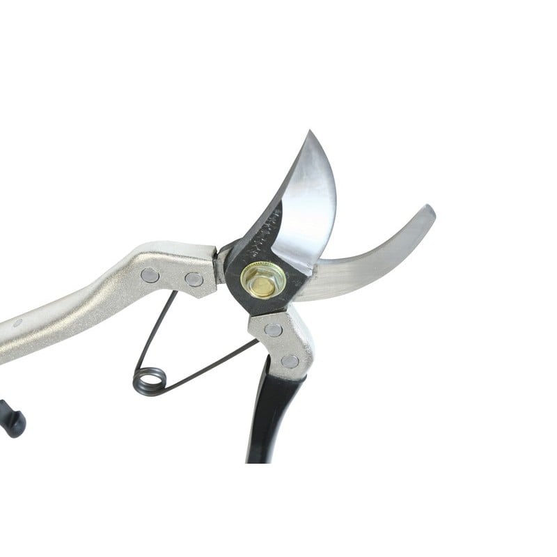 浅香工業 109202 A型剪定鋏 鋼付 #192008 1個（ご注文単位1個）【直送品】