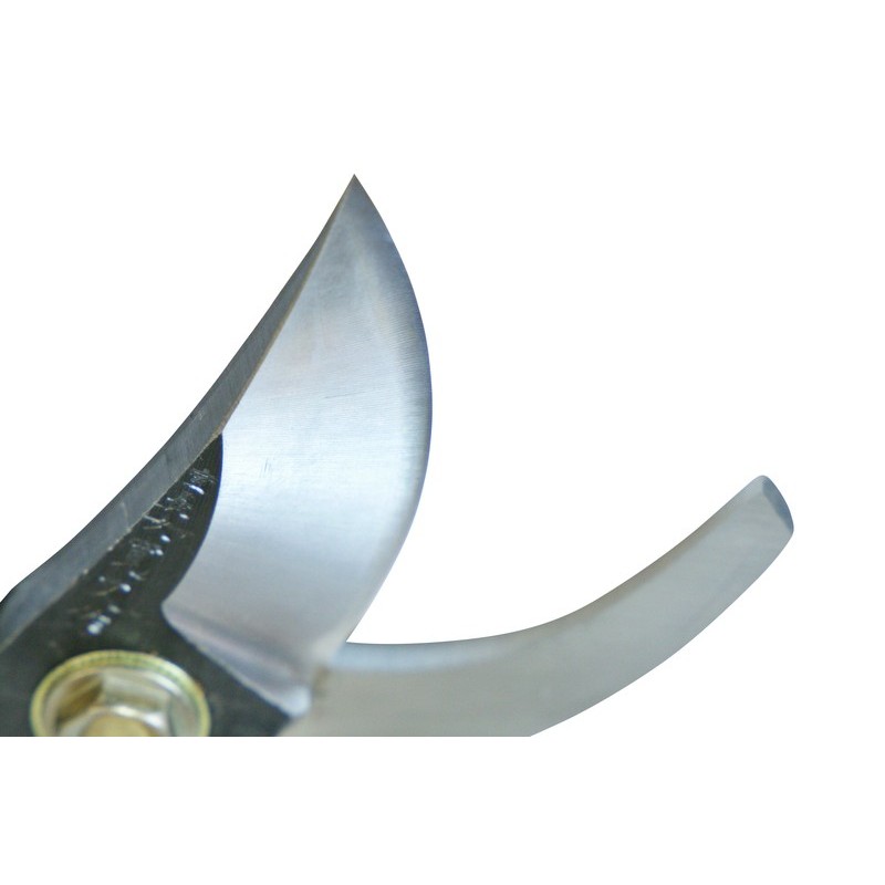 浅香工業 109202 A型剪定鋏 鋼付 #192008 1個（ご注文単位1個）【直送品】