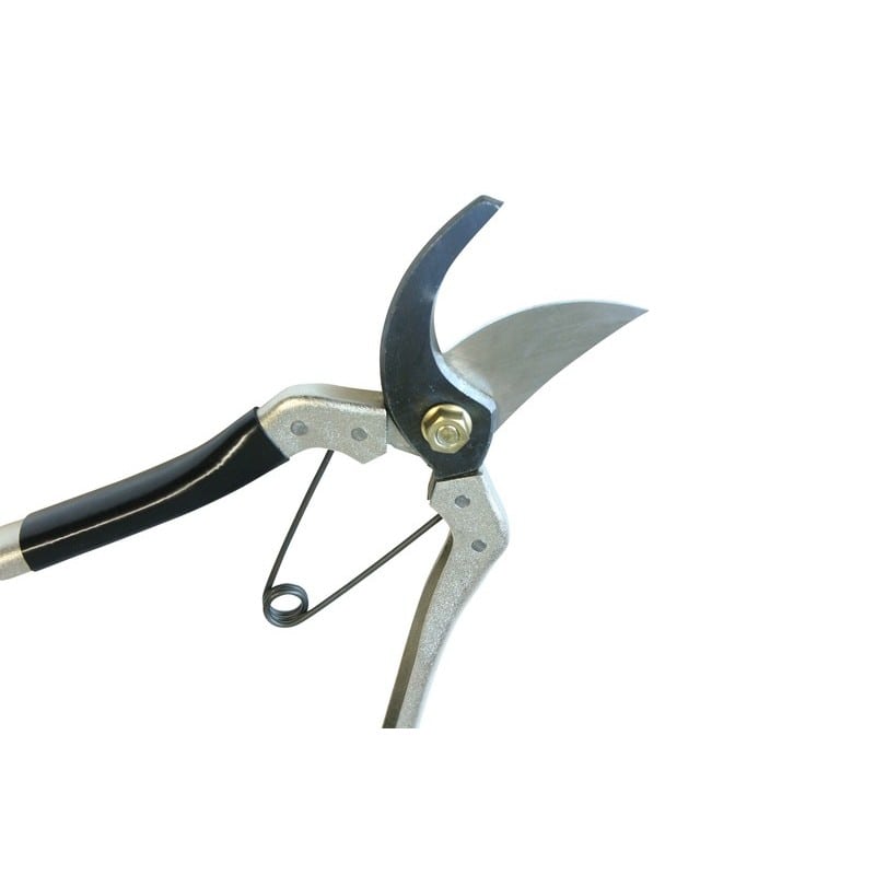 浅香工業 109202 A型剪定鋏 鋼付 #192008 1個（ご注文単位1個）【直送品】