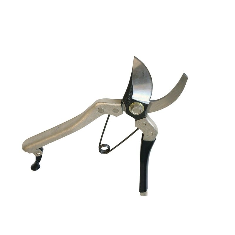 浅香工業 109203 B型剪定鋏 鋼付 #192015 1個（ご注文単位1個）【直送品】