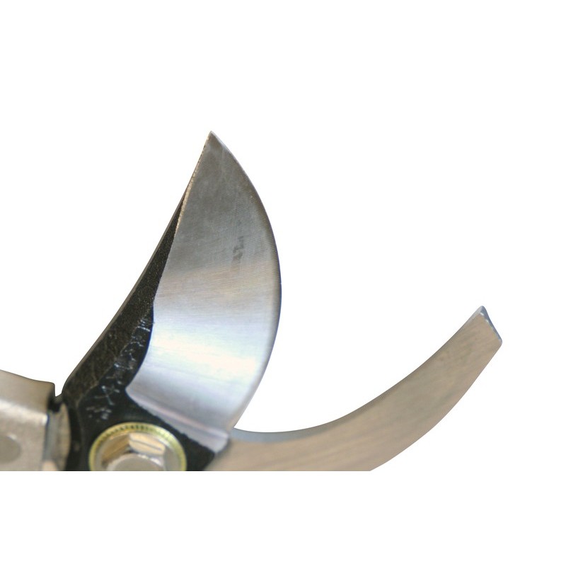 浅香工業 109203 B型剪定鋏 鋼付 #192015 1個（ご注文単位1個）【直送品】