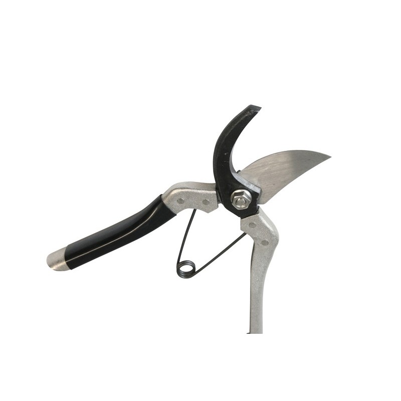 浅香工業 109203 B型剪定鋏 鋼付 #192015 1個（ご注文単位1個）【直送品】