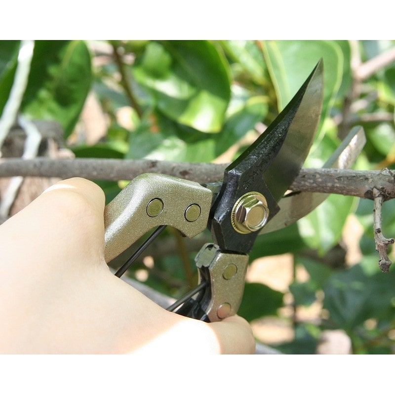 浅香工業 109203 B型剪定鋏 鋼付 #192015 1個（ご注文単位1個）【直送品】