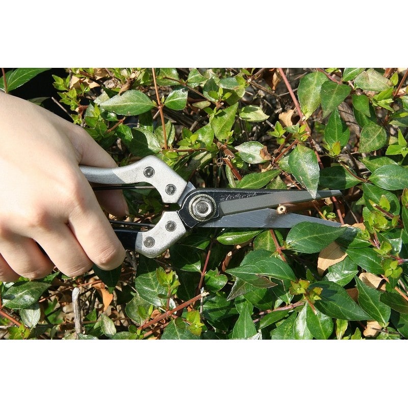 浅香工業 109226 刃長園芸鋏鋼付 #192022 1個（ご注文単位1個）【直送品】