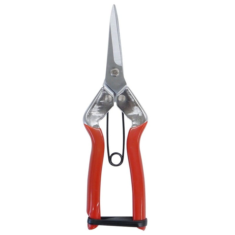 浅香工業 703372 菜園鋏 #192600 1個（ご注文単位1個）【直送品】