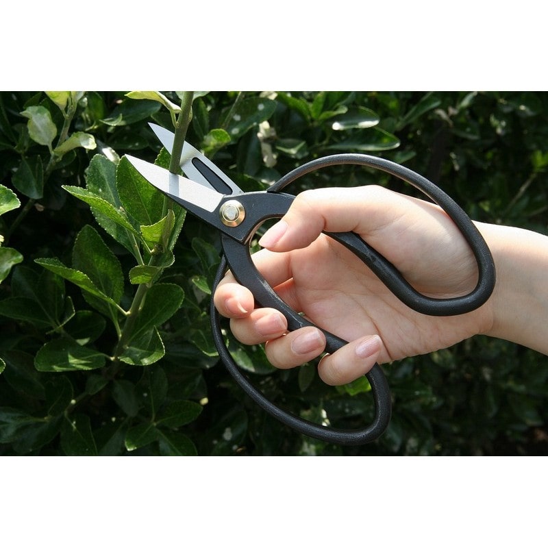 浅香工業 109204 大久保鋏 鋼付 #192039 1個（ご注文単位1個）【直送品】