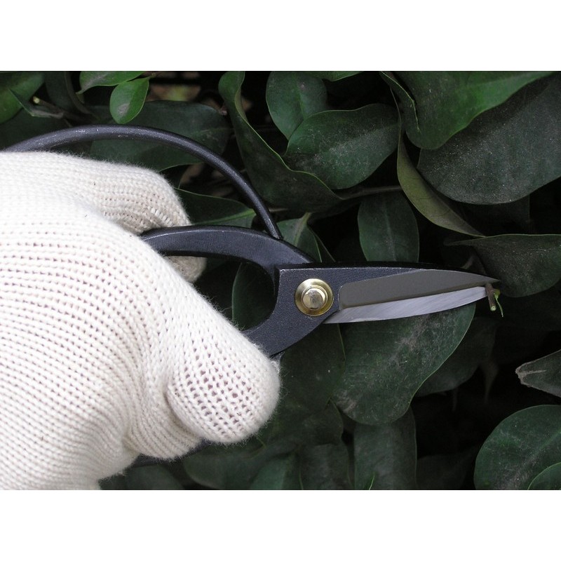 浅香工業 109204 大久保鋏 鋼付 #192039 1個（ご注文単位1個）【直送品】