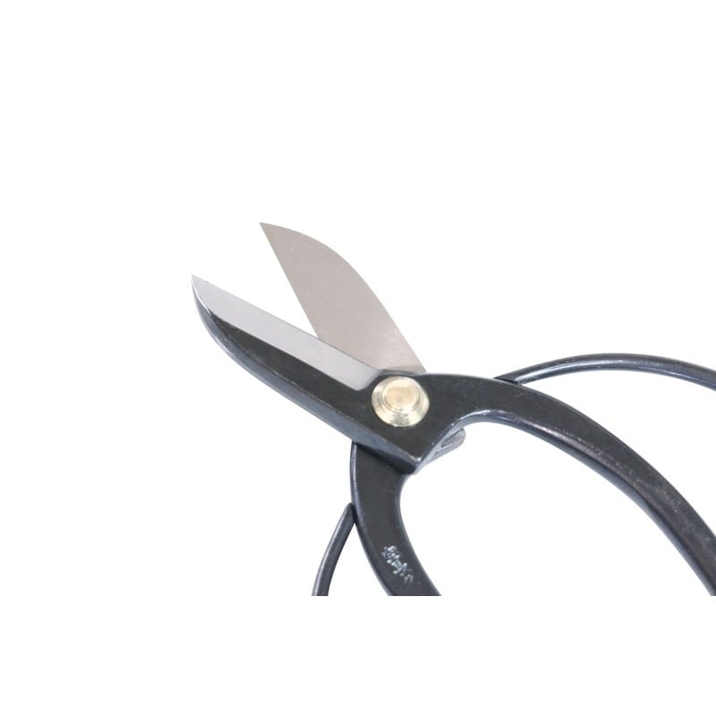 浅香工業 109220 古流鋏 #192114 1個（ご注文単位1個）【直送品】