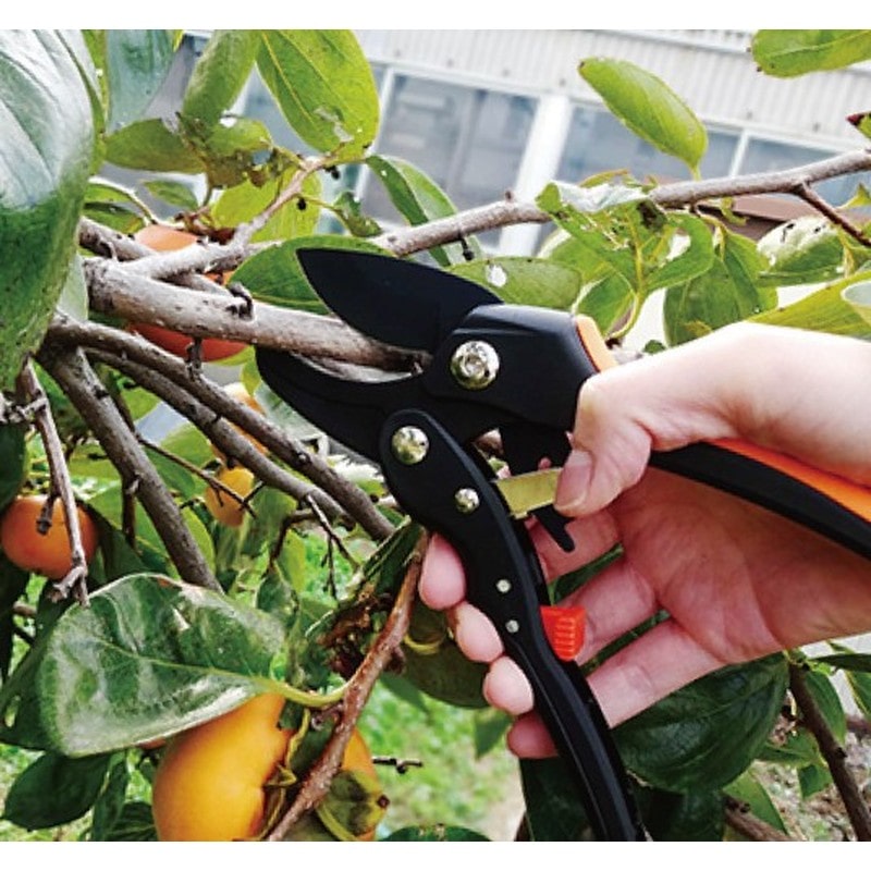 浅香工業 109237 アシスト機能付 剪定鋏 DX #192468 1個(ご注文単位1個)【直送品】