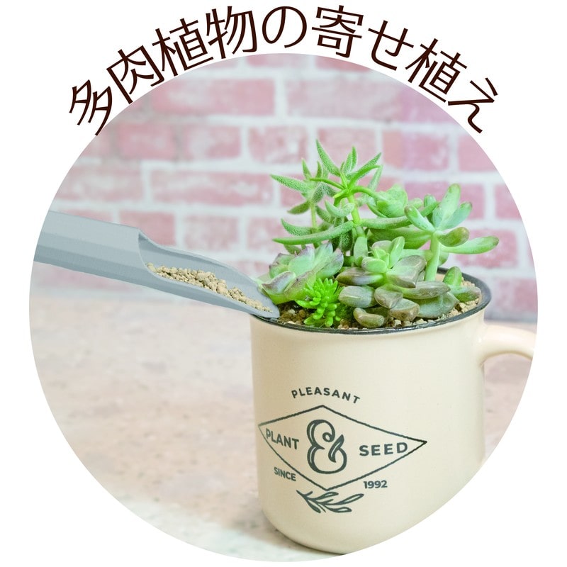 浅香工業 701548 FGプラ多肉土入れ3点セットGR#193960 1個（ご注文単位1個）【直送品】