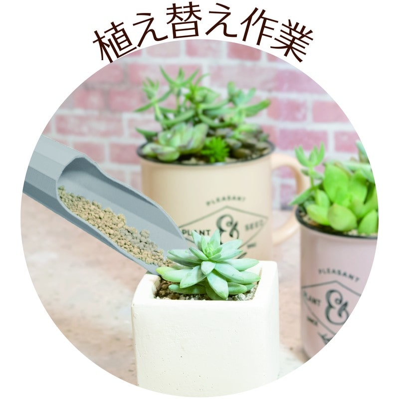 浅香工業 701545 FGプラ多肉土入れ2点セットGR#193977 1個（ご注文単位1個）【直送品】