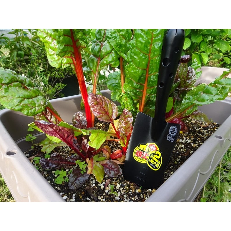 浅香工業 303605 FG 強力移植ゴテ 補強付き #193991 1個（ご注文単位1個）【直送品】