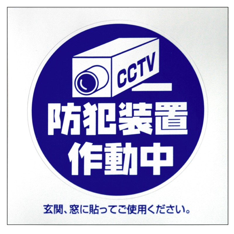 豊光 438057 防犯シール カメラ M 2枚入 BS-813 1個（ご注文単位1個）【直送品】