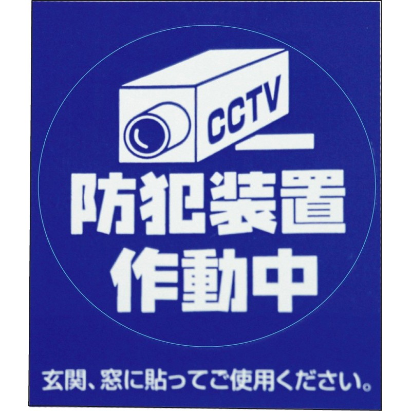 豊光 438060 防犯シール カメラ S 2枚入 BS-816 1個（ご注文単位1個）【直送品】