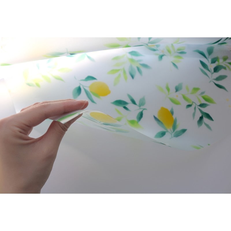 明和グラビア 9034112 飛散防止効果のある窓飾りシート/大革命アルファ GH-9221 1個(ご注文単位1個)【直送品】