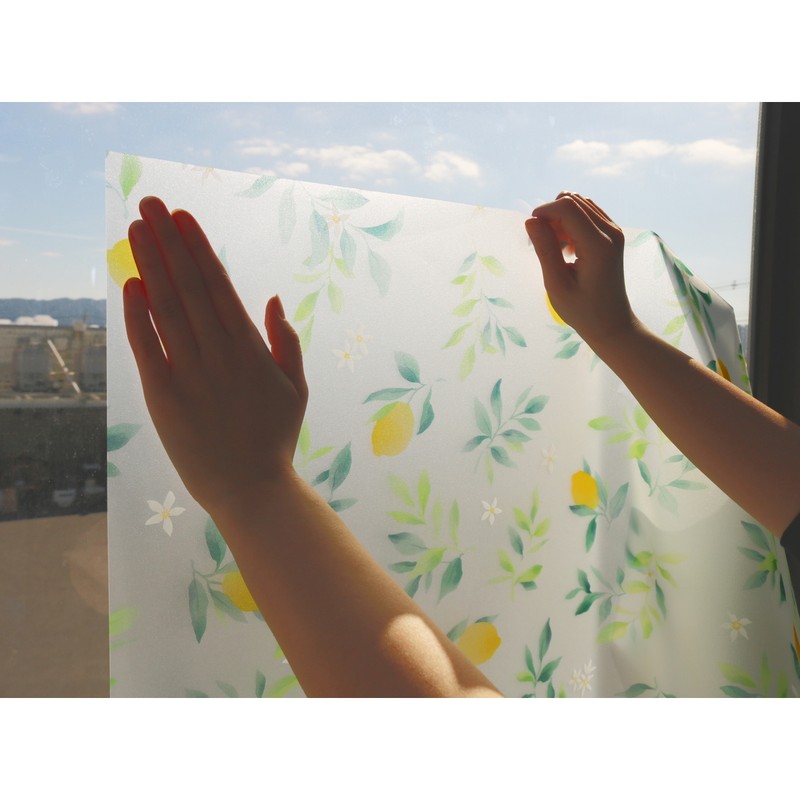 明和グラビア 9034112 飛散防止効果のある窓飾りシート/大革命アルファ GH-9221 1個(ご注文単位1個)【直送品】