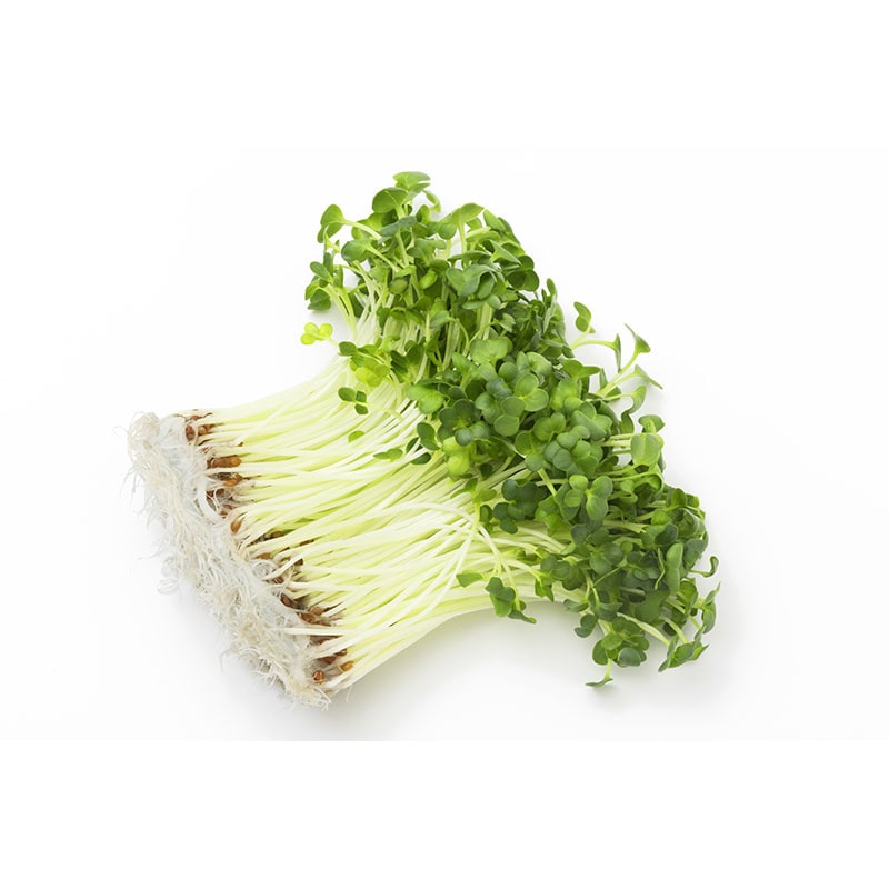 貝割 50g 1パック※軽（ご注文単位1パック）【直送品】