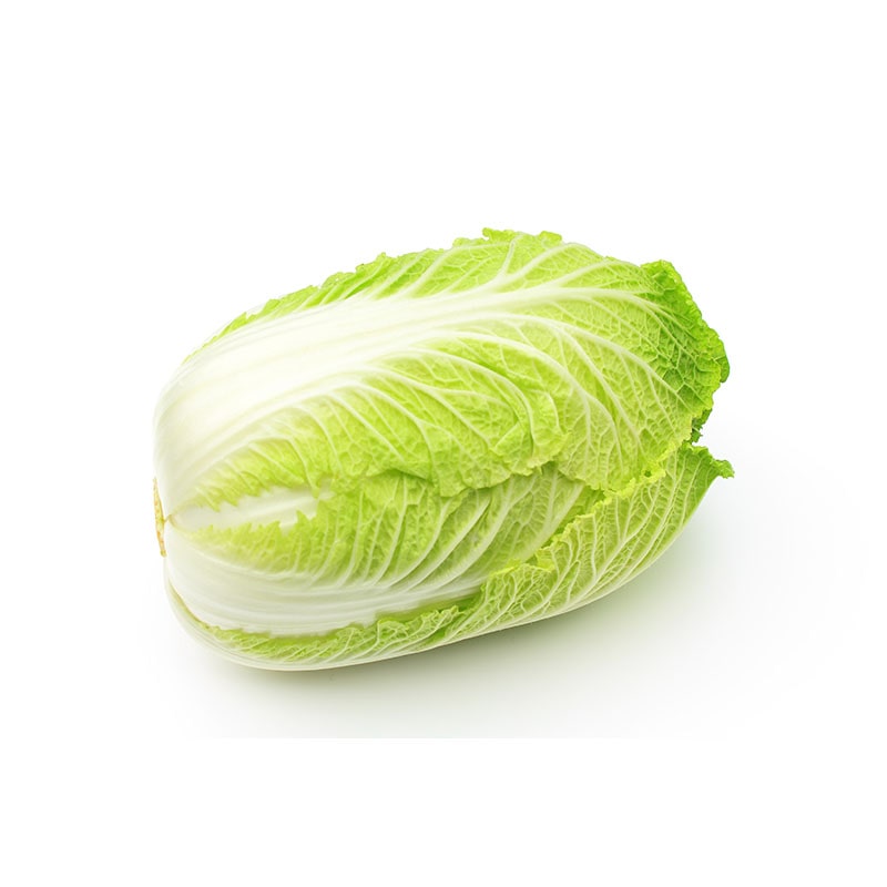 白菜 1個※軽（ご注文単位1個）【直送品】