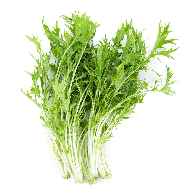 みず菜 200g 1束※軽（ご注文単位1束）【直送品】