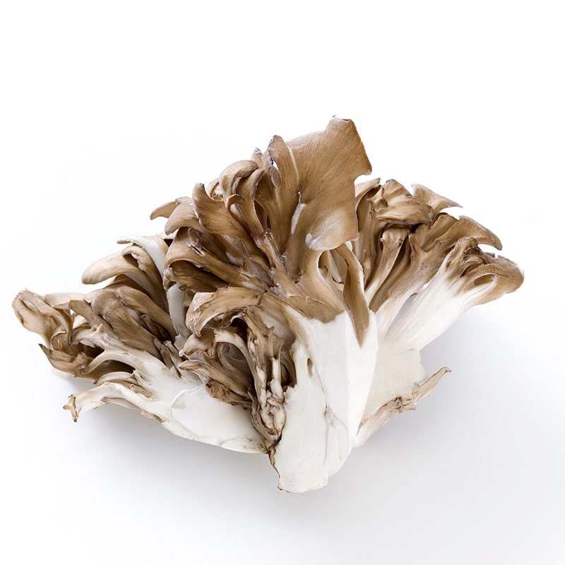 舞茸 100g 1パック※軽（ご注文単位1パック）【直送品】