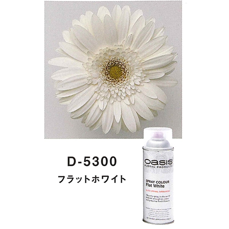 welzo フラットホワイト D-5300 1個 (ご注文単位1個) 【直送品】