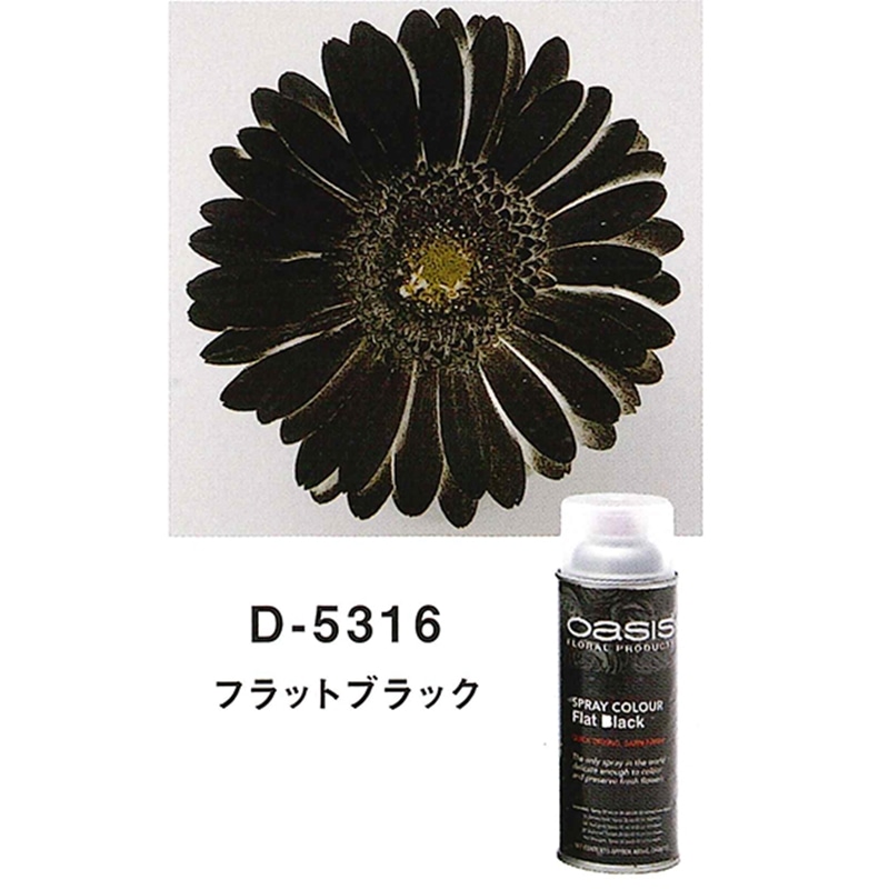 welzo フラットブラック D-5316 1個 (ご注文単位1個) 【直送品】