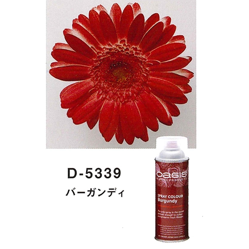 welzo バーガンディ D-5339 1個 (ご注文単位1個) 【直送品】