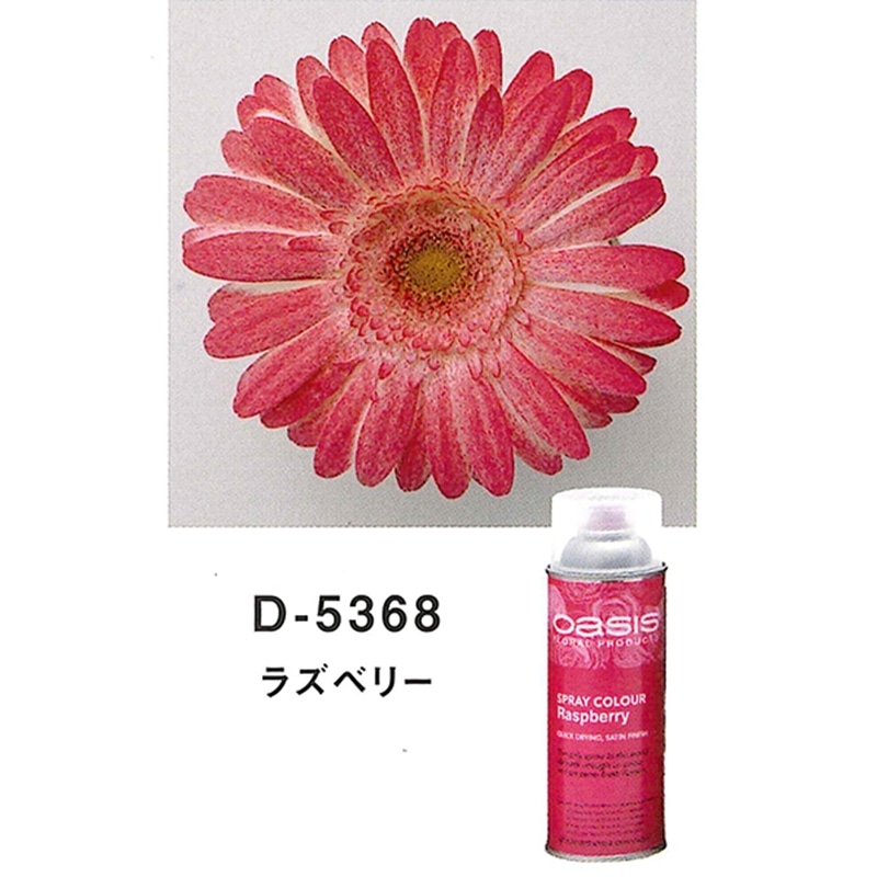 welzo ラズベリー D-5368 1個 (ご注文単位1個) 【直送品】