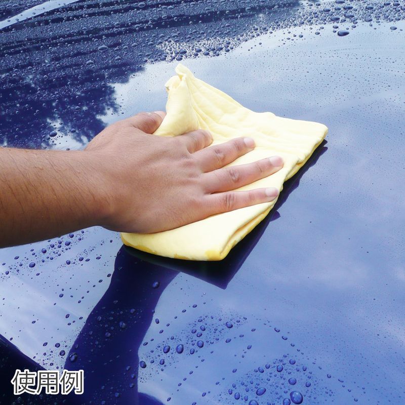 ワールドツール アストロプロダクツ AP PVA 超吸水タオル L 2003000004878（ご注文単位1パック）【直送品】